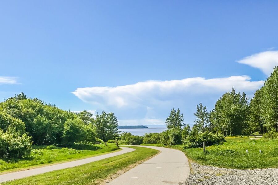 Anchorage: Coastal Trail 3-Hour City Bike Tour - Who should book this ride