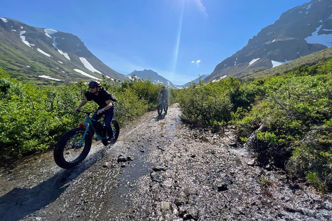 Anchorage Scenic Mountain Bike Tour - The Physical Challenge: Read This Part Carefully