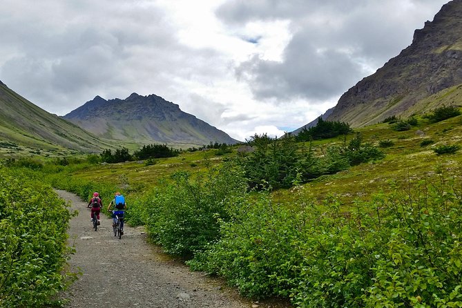 Anchorage Scenic Mountain Bike Tour - What Is Included for $169?