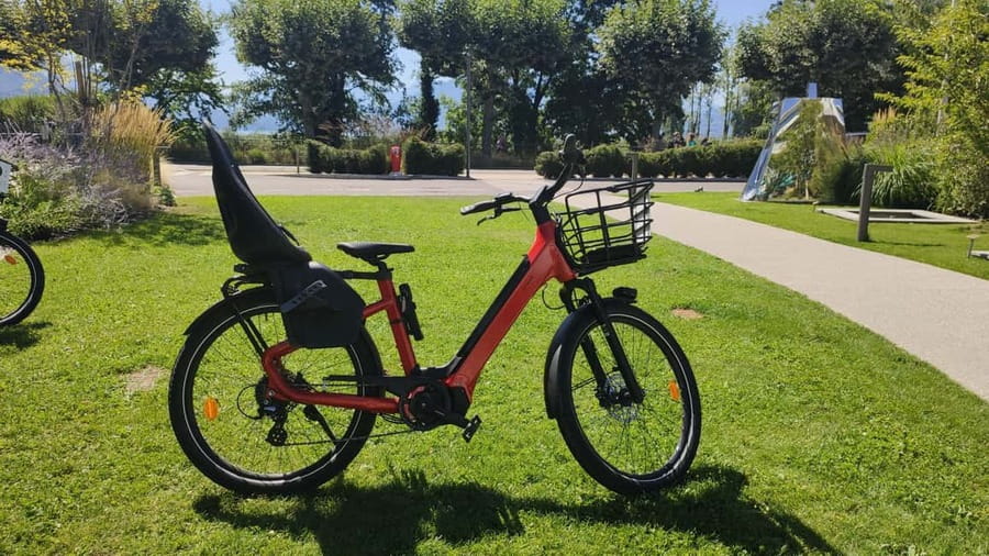 Annecy-le-Vieux, France: Electric and Classic Bike Rentals - Choosing between electric assistance and pedal power