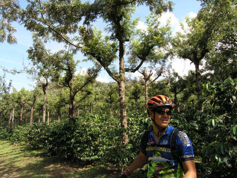 Antigua Sip 'n Cycle Half-Day Bike Ride and Coffee Tour - The guides make the ride easier