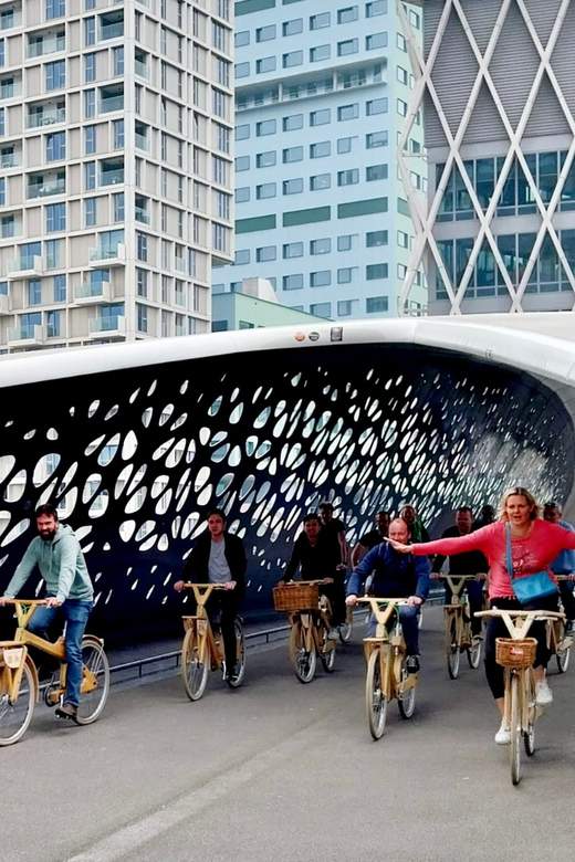 Antwerp: The Big 5 City Highlights by Wooden Bike - Why Antwerp works so well by bike