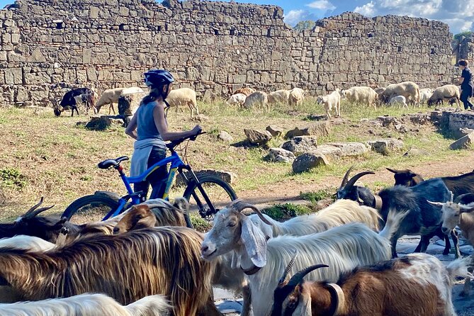 Appian Way & Aqueducts small group e-bike tour(catacombs & food) - Down into the Catacombs of Saint Callixtus