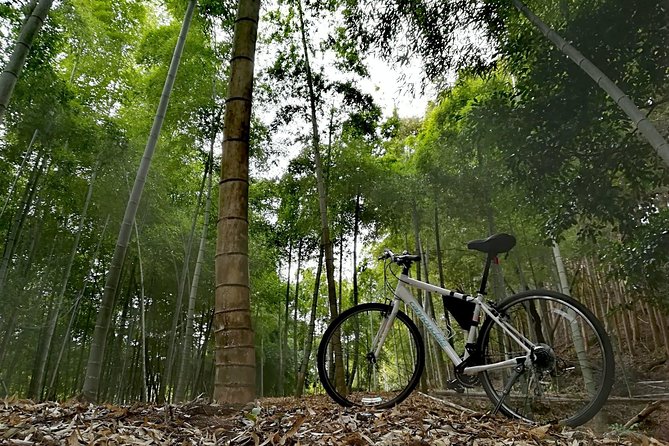 Arashiyama Bamboo Forest & Hidden Gems Bike Tour (Early Bird) - The guides are a major part of the value