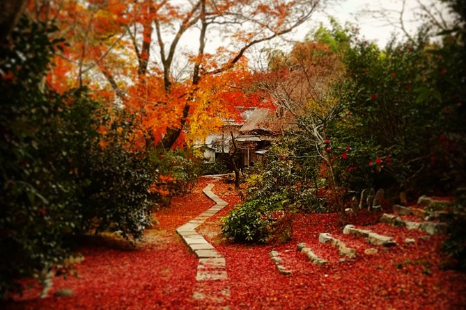 Arashiyama Bamboo Forest & Hidden Gems Bike Tour (Early Bird) - What the $106.12 price gets you