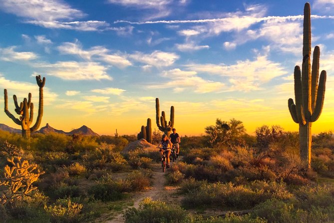 Arizona Desert Guided E-Bike Adventure - Key points to know before you book