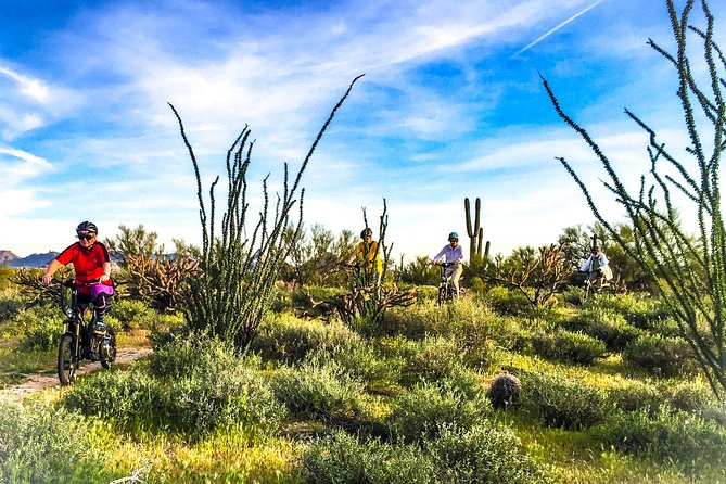 Arizona Desert Guided E-Bike Adventure - Why this e-bike ride works in the Sonoran Desert
