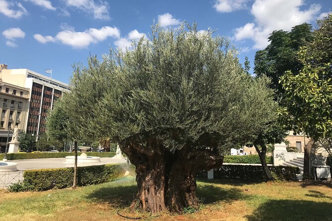 Athens by E-Bike: Monuments, Food & Transfers (Cruise Tour) - What the $157.83 price really covers