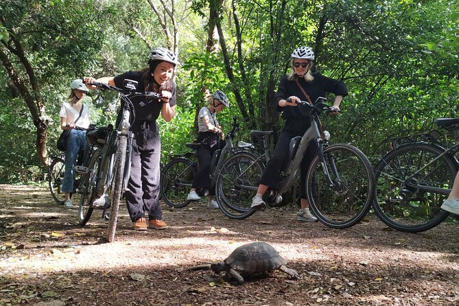 Athens Small Group E-Bike Tour - Adrianou Street and the old center