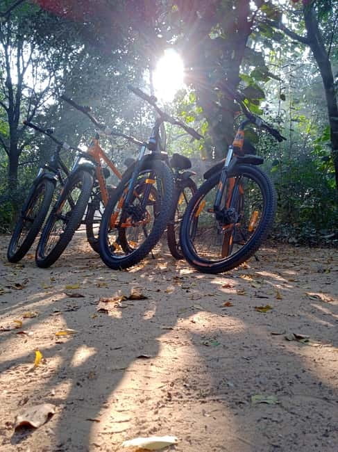 Auroville: Nature Trail Forest Cycling Adventure - What makes this forest outing worth your time