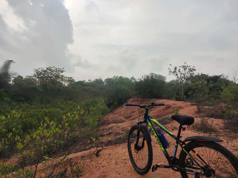 Auroville: Nature Trail Forest Cycling Adventure - A 90-minute walk through the forest