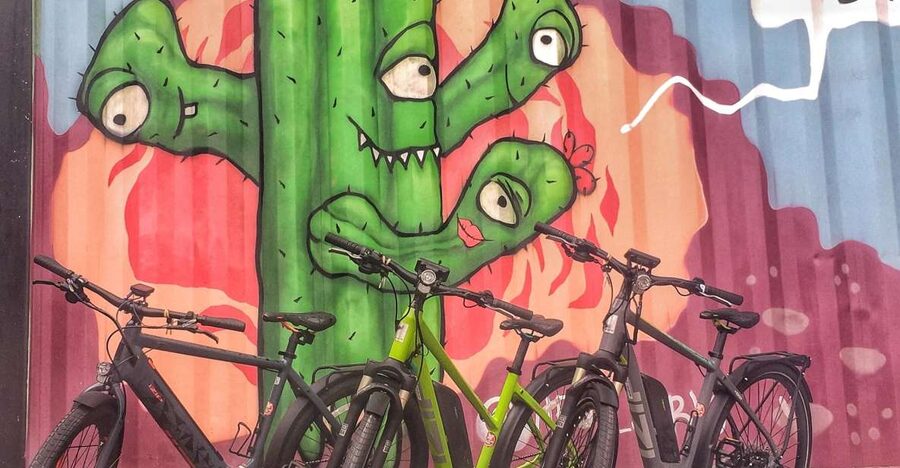 Austin: Electric Bike City Sightseeing Tour - Barton Springs starts the tour with cool water and local character