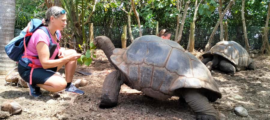 Authentic North East Coast E-bike Guided Tour - The tortoises and the quieter beaches