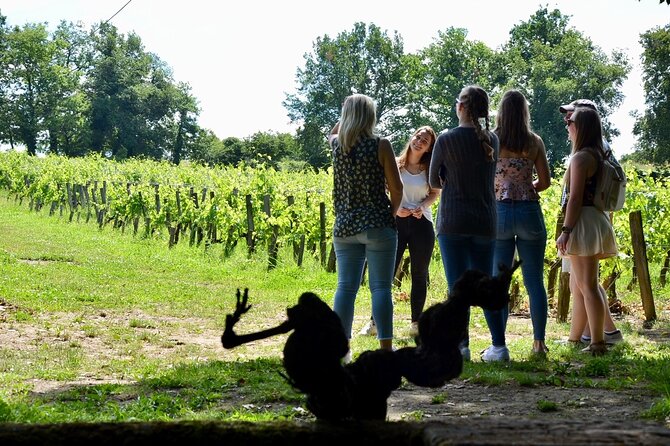 Backcountry E-Bike Adventure from Bordeaux: Wine Tasting & Lunch - Sadirac and the route through wine country