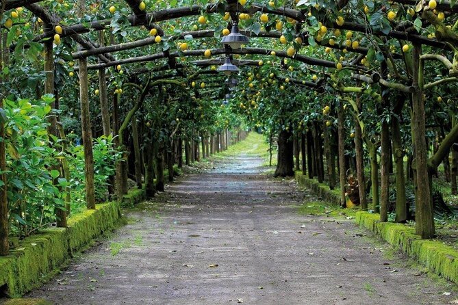 Backroads & Limoncello Experience: Sorrento E-Bike Tour - Is $90.74 a fair price?