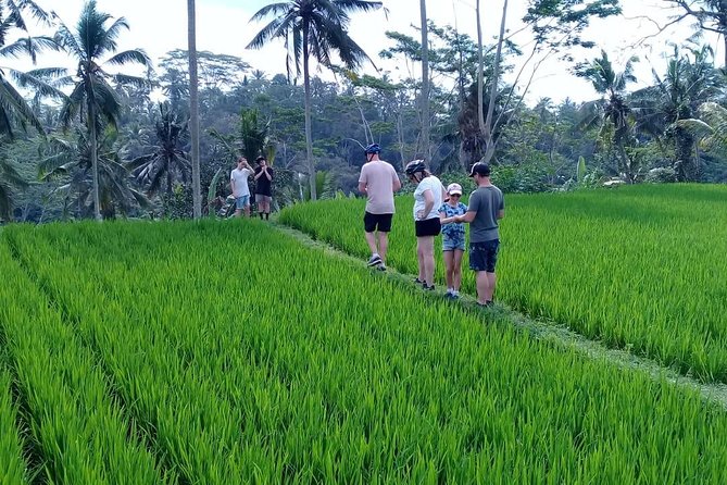 Bali Countryside Cycling Adventure - What makes this Bali bike tour worth considering