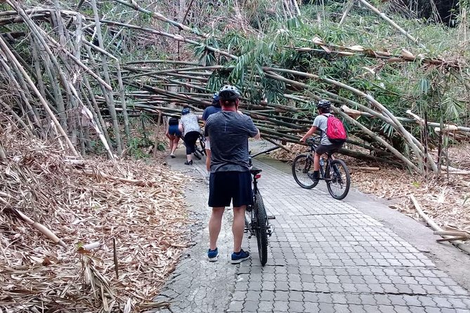 Bali Countryside Cycling Adventure - Bangli roads, a Subak temple, and Taman Bali