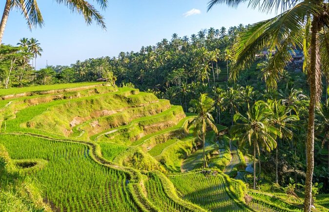 Bali Countryside Cycling Tours - Key points to know before booking