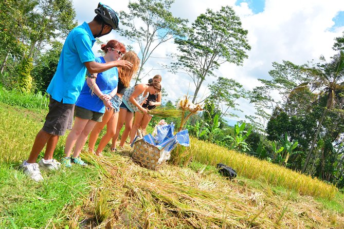 Bali Countryside Cycling Tours - Breakfast, coffee, water, and the Indonesian lunch