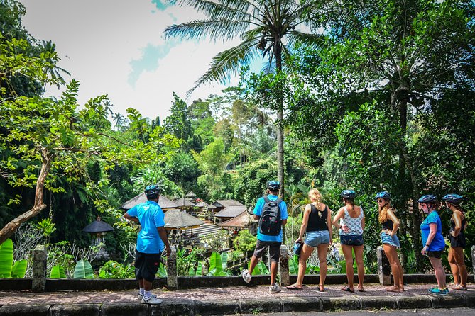 Bali Countryside Cycling Tours - Guides, group size, and the feel of the day