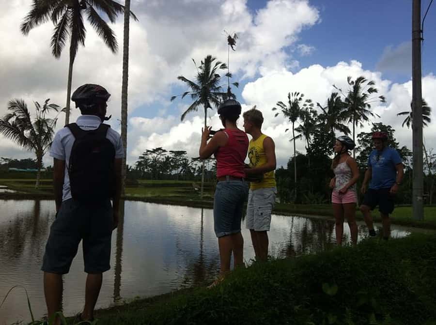Bali Downhill Cultural Cycling Tour - Who will enjoy this cycling day