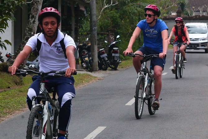 Bali Downhill Cultural Cycling Tour - What the day is really about