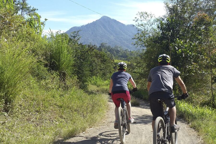 Bali: Jatiluwih Rice Terraces 1 Hour Electric Bike Tour - Riding through the rice terraces and valley