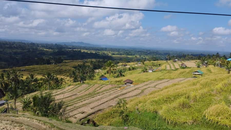 Bali: Jatiluwih Rice Terraces 1 Hour Electric Bike Tour - Is one hour enough for Jatiluwih?