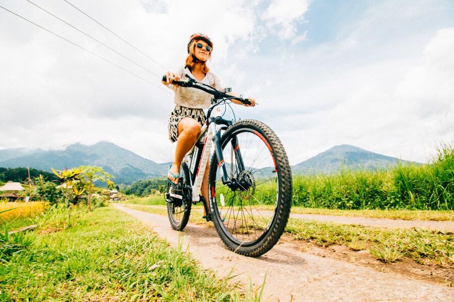 Bali: Jatiluwih Rice Terraces 1 Hour Electric Bike Tour - The $22 price and what it includes