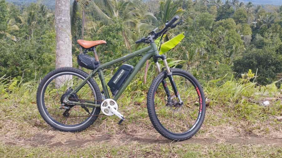 Bali: Jatiluwih Rice Terraces 1 Hour Electric Bike Tour - Starting near Warung Krishna in central Jatiluwih
