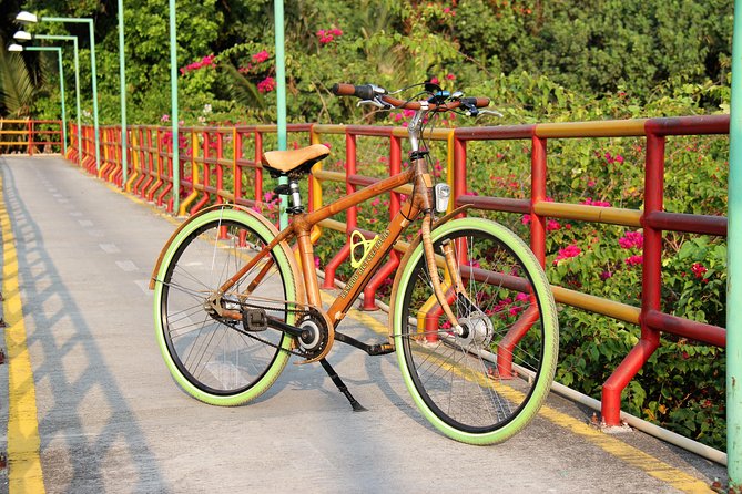 Bamboo Bicycle Tour in twilight: watch dancing Fireflies in Bangkok - Is $57.07 a fair price?