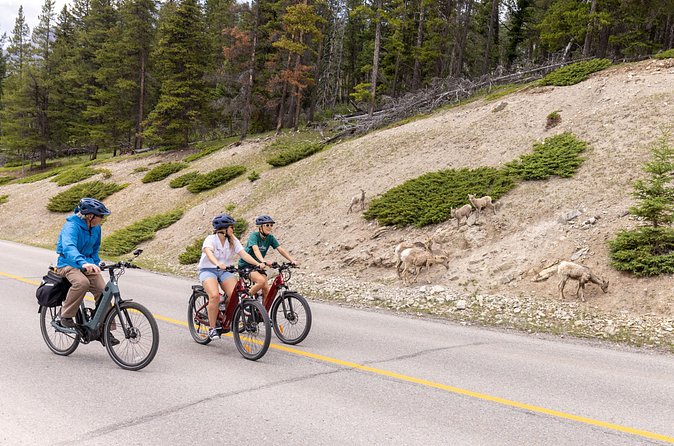 Banff Mountain Lakeside - E-bike Tour - How hard is the 20-mile e-bike ride?