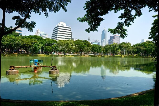 Bangkok City Culture Tour by Bike - Lumpini Park: shade, Tai Chi, and monitor lizards