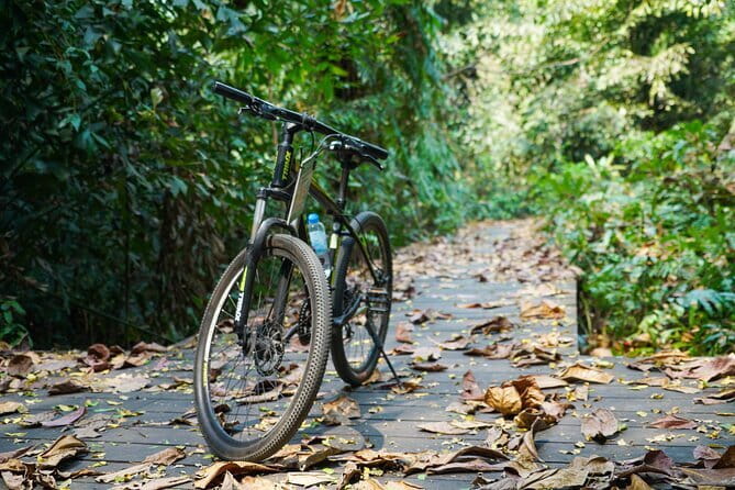 Bangkok Green Oasis Nature Bike Tour - How good are the guides and photos?