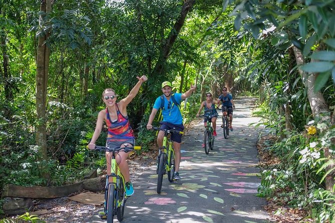 Bangkok Jungle Bike Tour - Hotel-pickup & Lunch - Crossing from Wat Khlong Toei Nok to Bang Krachao