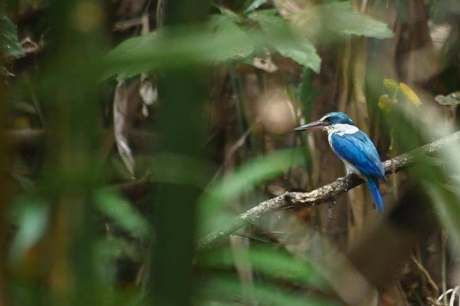 Bangkok Jungle Bike Tour - Hotel-pickup & Lunch - Who will enjoy this ride most