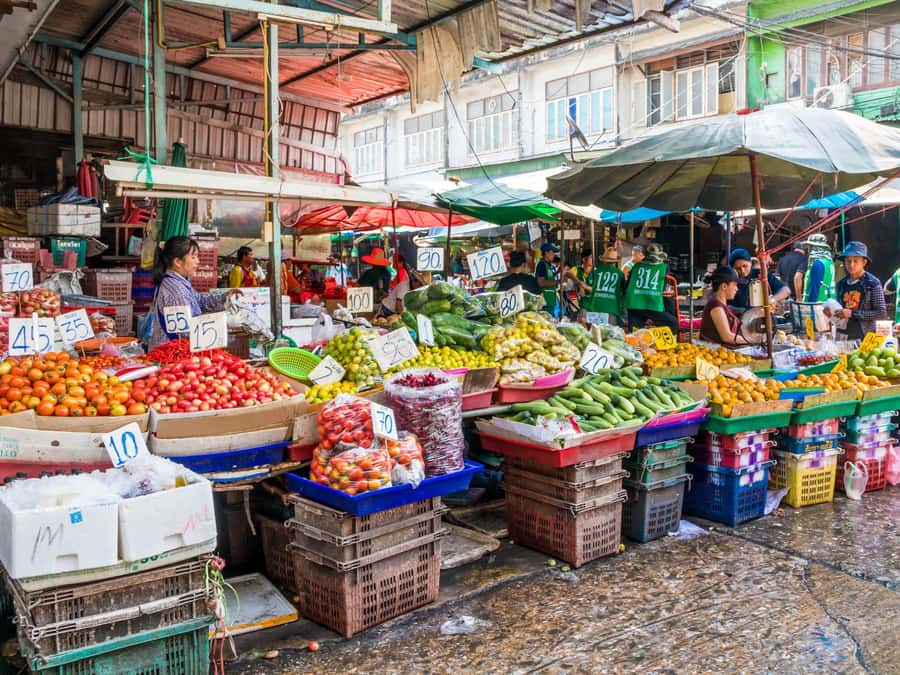 Bangkok: Khlong Toei Market & Bang Krachao Island Bike Tour - Who will enjoy this tour most
