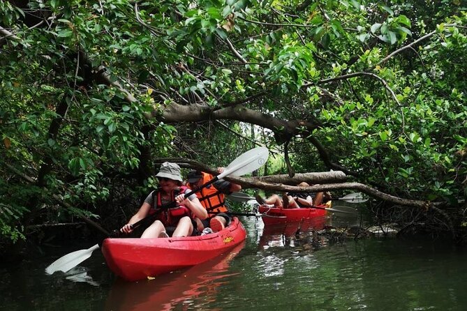 Bangkok Tour by Boat and Bike - Paddling the canals by kayak or canoe