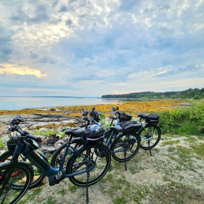 Bar Harbor: Acadia National Park Carriage Roads Ebike Tour