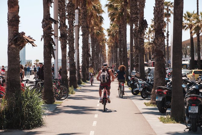 Barcelona 3-hour Bike or E-Bike Tour: Highlights and Hidden Gems - Barcelona Cathedral and Catalan Gothic