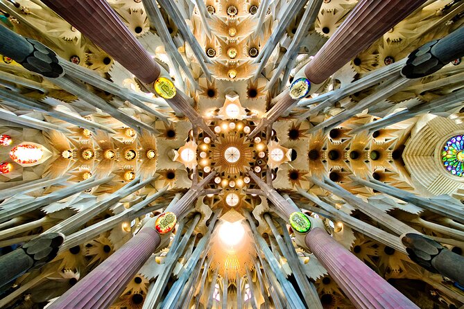 Barcelona Bike Highlights & Sagrada Familia Small Group Tour - What the guide adds to the morning