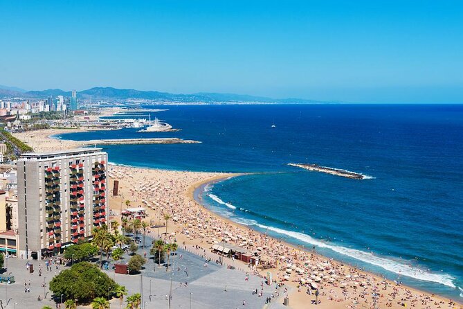 Barcelona eBike Beach Private Tour to Vineyards & Picnic - Key points to know before booking