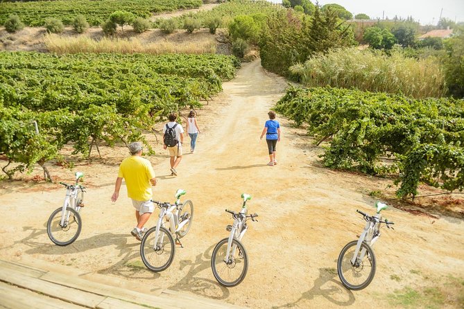 Barcelona eBike Beach Private Tour to Vineyards & Picnic - Arriving at Alella and the Bouquet d’Alella winery