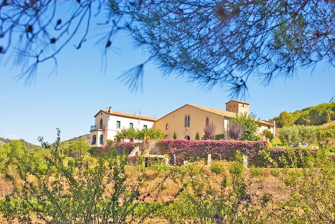 Barcelona eBike Beach Private Tour to Vineyards & Picnic - Private format and guide quality