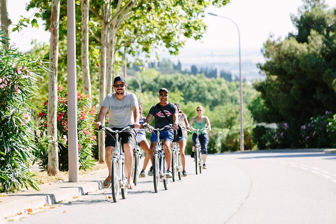 Barcelona Electric Bike Tour: Scenic Montjuic Panoramic Views - The Olympic Ring: Palau Sant Jordi and Estadi Olímpic