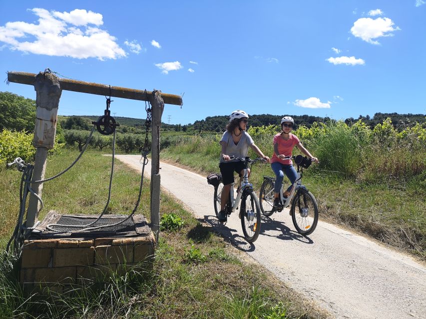 Barcelona: Guided Half-Day Wine and Electric Bike Tour - Who will enjoy this tour most?