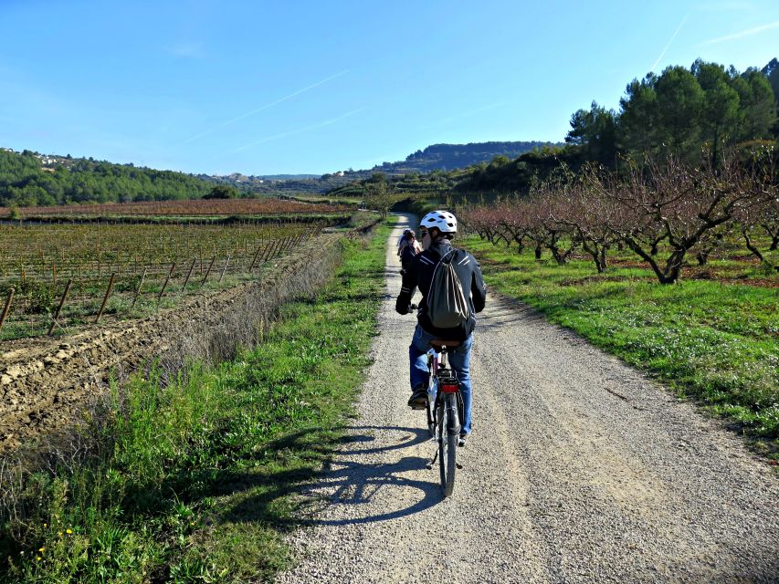 Barcelona: Guided Half-Day Wine and Electric Bike Tour - Riding through vineyards and forest paths