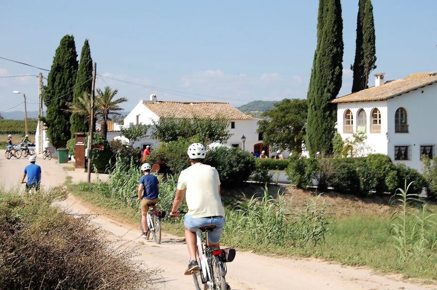 Barcelona: Guided Half-Day Wine and Electric Bike Tour - Three glasses of wine and cava