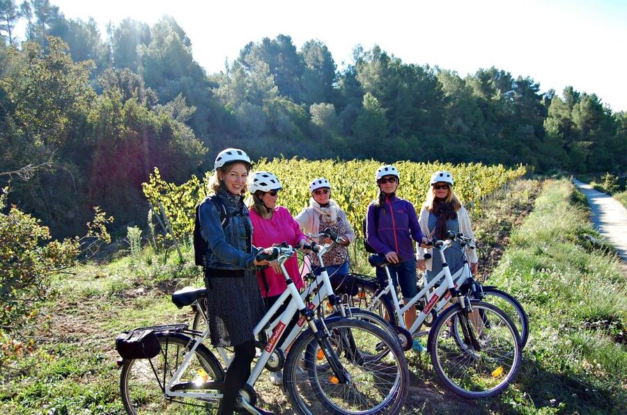 Barcelona: Guided Half-Day Wine and Electric Bike Tour - The guide can shape the experience