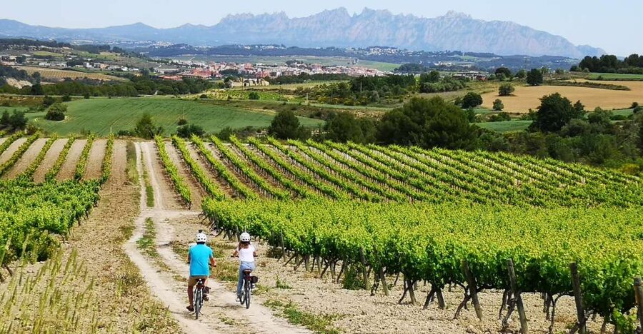 Barcelona: Guided Half-Day Wine and Electric Bike Tour - Getting from Barcelona to Lavern-Subirats